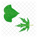 Leaf Tree Foliage 아이콘