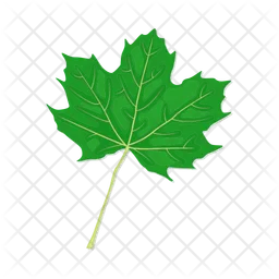 Leaf  Icon