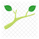 Leaf Tree Foliage Icon