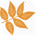 Leaf Autumn Nature Icon