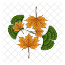 Leaf Maple Leaf Nature Icon