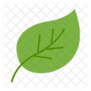 Leaf  Symbol