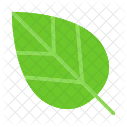 Leaf  Icon