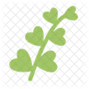Leaf Eco Green Icon