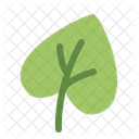 Leaf Eco Green Icon