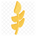 Leaf Leaflet Botany Icon
