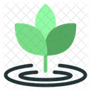 Leaf Nature Tree Icon