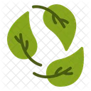 Nature Plant Green Icon