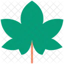 Thanksgiving Holiday Leaf Icon