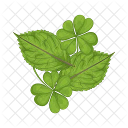 Leaf  Icon