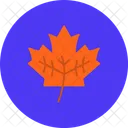 Leaf Plant Nature Icon