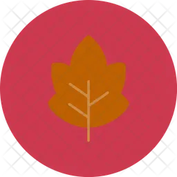 Leaf  Icon