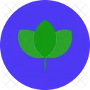 Leaf Plant Nature Icon