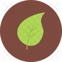 Leaf Plant Nature Icon