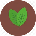 Leaf Plant Nature Icon