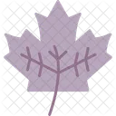 Leaf Plant Nature Icon