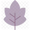 Leaf Plant Nature Icon