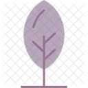 Leaf Plant Nature Icon