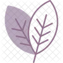 Leaf Plant Nature Icon