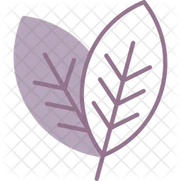 Leaf  Icon