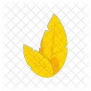 Leaf  Icon