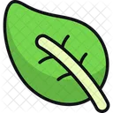 Leaf Foliage Plant Icon