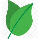 Nature Plant Green Icon