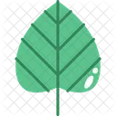 Ilustroflat Ecology Icon