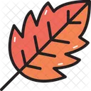 Camping Leaf Leave Icon