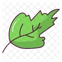 Leaf Nature Plant Icon