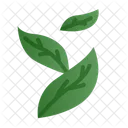 Leaf Plant Green Icon