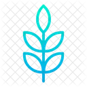 Leaf Plant Green Icon