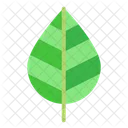Ecology Nature Green Icon