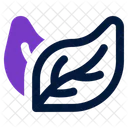Leaf Plant Nature Icon