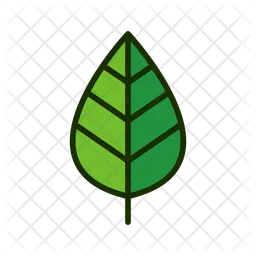 Leaf  Icon