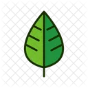 Leaf Green Leaf Greenery Icon