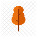 Leaf Autumn Fall Icon