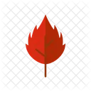 Leaf Nature Weather Icon