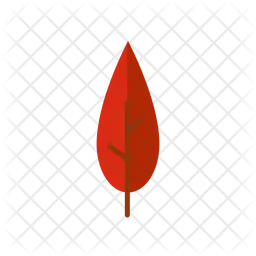 Leaf  Icon