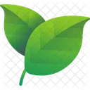 Leaf Nature Plant Icon