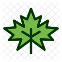 Leaf Filled Color Icon