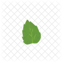 Green Leaf Plant Icon