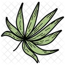 Leaf Botanical Foliage Icon