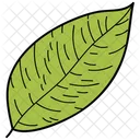 Scalloped Leaf Leaf Foliage Icon