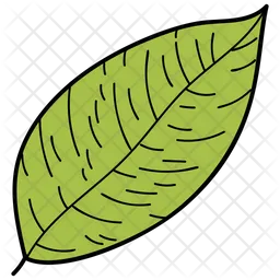 Leaf  Icon