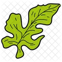 Lobate Leaf Foliage Icon