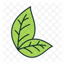 Leaf Tobacco Leaf Tobacco Icon
