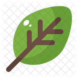 Leaf  Icon