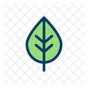 Leaf Natural Nature Icon