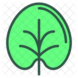 Leaf  Icon